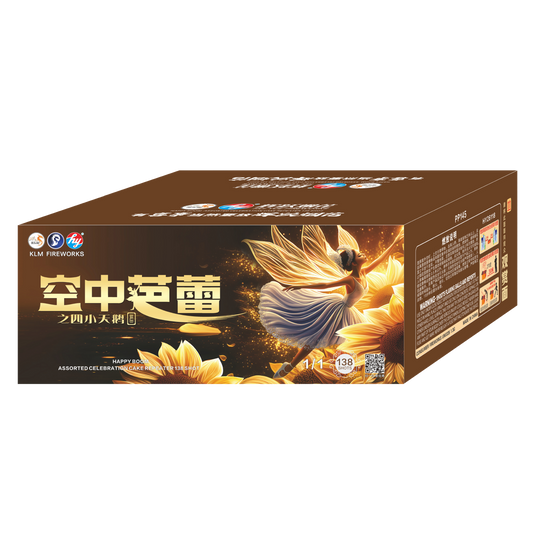 (HY39) 10''138 V2 - Kong Zhong Ba Lei